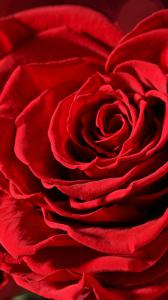 دانلود والپیپرهای زیبا برای گوشی