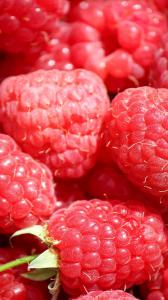 دانلود والپیپرهای زیبا برای گوشی