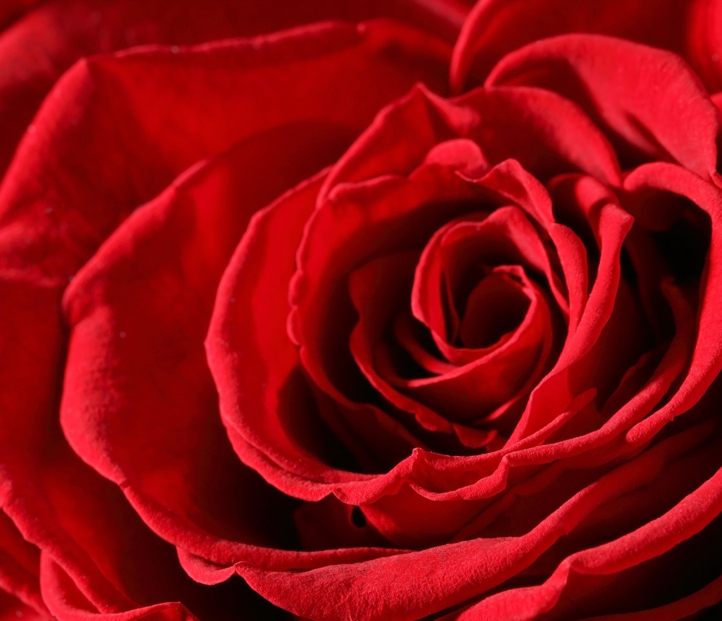 دانلود والپیپرهای زیبا برای گوشی