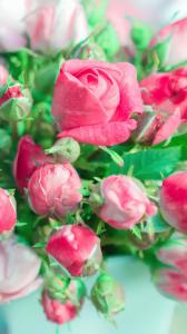 ۱۰ والپیپر از طبیعت برای گوشی +دانلود