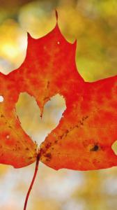 ۱۰ والپیپر خیره کنننده مناسب گوشی +دانلود