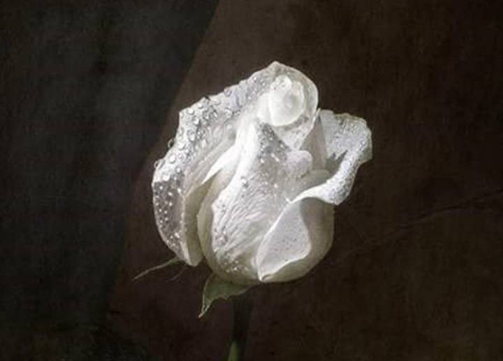 ۱۰ والپیپر فانتزی مناسب گوشی +دانلود