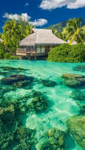 ۱۰ والپیپر دریایی برای گوشی +دانلود