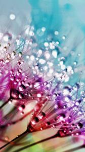 ۱۰ والپیپر رنگارنگ برای گوشی +دانلود