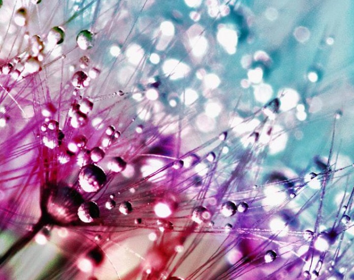 ۱۰ والپیپر رنگارنگ برای گوشی +دانلود