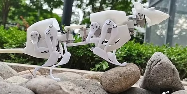 فیلم|  کمک موش رباتیکی که درحوادث به بازماندگان