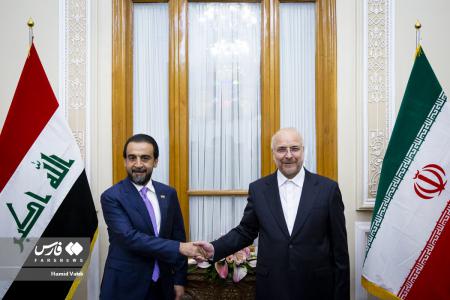 تصاویر| دیدار روسای مجلس ایران و عراق