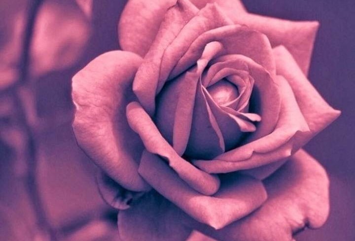 ۱۰ والپیپر مناسب دخترها برای گوشی +دانلود