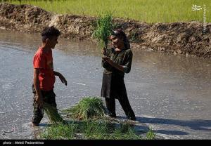 تصاویر| روز جهانی کار و کارگر