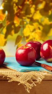 ۱۰ والپیپر با رنگ قرمز برای گوشی +دانلود