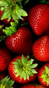 ۱۰ والپیپر با رنگ قرمز برای گوشی +دانلود