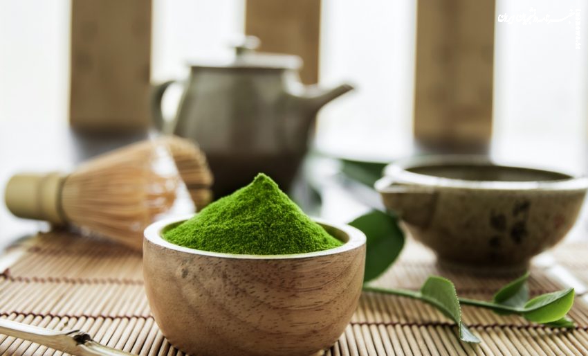 چای ماچا چیست و از کجا میتوان چای ماچا اصل را خریداری کرد؟