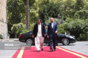 دیدار وزرای خارجه ایران و پاکستان
