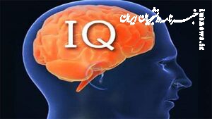 ۱۳ پیشنهاد برای افزایش IQ در سنین بالا