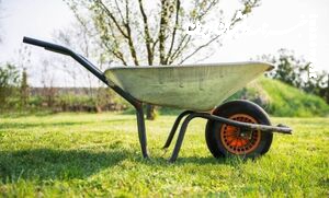 افشای معمای جسد داخل فرغون