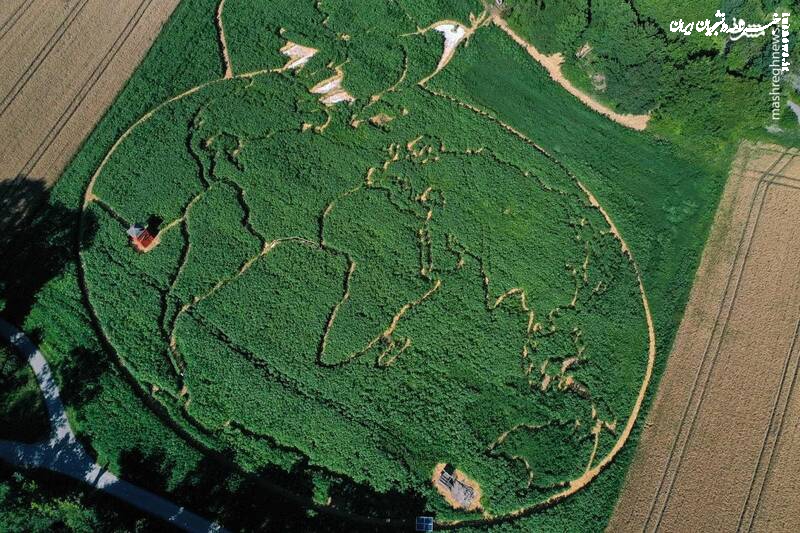 تصویر هوایی از نقاشی زیبا روی زمین کشاورزی