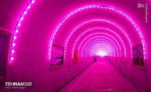 تصاویر| افتتاح بزرگ‌ترین تونل نقش و نور کشور
