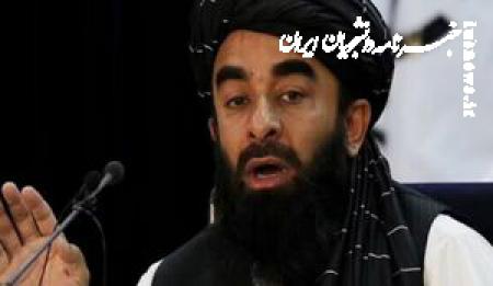 واکنش طالبان به کشته شدن رهبر القاعده در حمله آمریکا