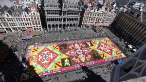 بزرگترین فرش گل جهان در بلژیک