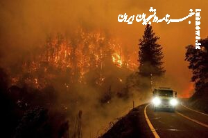 آتش‌سوزی‌ها در اروپا رکورد زد؛ ۶۶۰ هزار هکتار اراضی سوخته