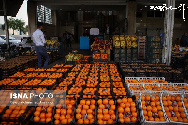 صادرات مرکبات ایران به چین برای نخستین بار