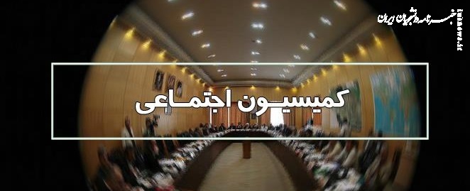 طرح ساماندهی استخدام کارکنان دولت در کمیسیون اجتماعی بررسی شد