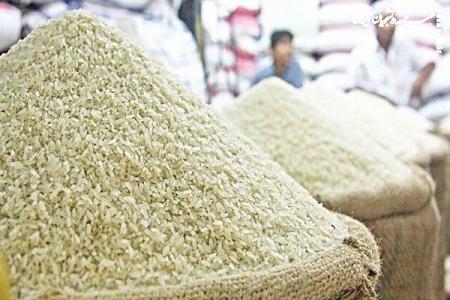 قیمت خرید تضمینی برنج هفته آینده اعلام می‌شود