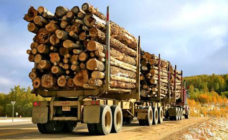 قیمت انواع "چوب روسی" | بررسی جامع و جدیدترین قیمت ۱۴۰۱