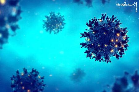 کشف جدید پژوهشگرها در مورد ویروس‌ها!