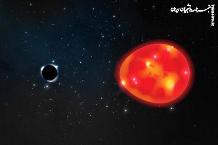 کشف سیاهچاله ای ۱۰برابر بزرگ تر از خورشید در نزدیکی زمین