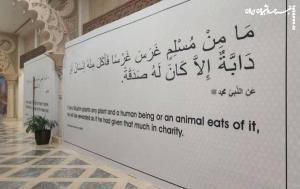 ابتکار جالب قطر برای آشنایی تماشاگران با اسلام +عکس