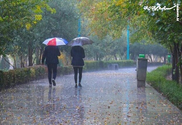 دمای هوا در استان بوشهر کاهش می یابد