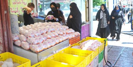 قیمت مرغ در بازار ۱۱ هزار تومان زیر نرخ مصوب رسید