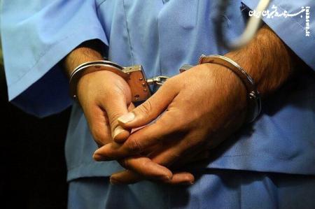 متهم با ۷۰ فقره سرقت در نیشابور دستگیر شد