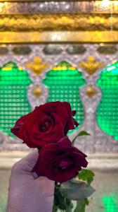 تصاویر| گلباران ضریح حضرت عباس(ع) در روز ولادت حضرت زینب(س)