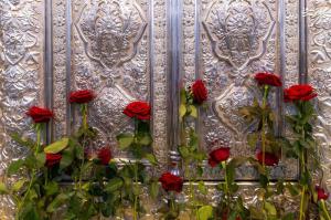 تصاویر| گلباران ضریح حضرت عباس(ع) در روز ولادت حضرت زینب(س)