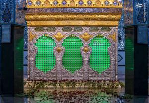 تصاویر| گلباران ضریح حضرت عباس(ع) در روز ولادت حضرت زینب(س)