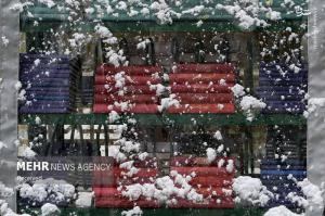 تصاویر| اولین برف پاییزی در حرم امام رضا(ع)