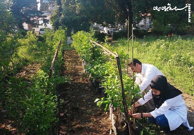 دوئل حرف تا عمل صیانت از خاک در کشور