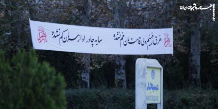 واکنش دانشجویان دانشگاه تهران به جنایات استکبار علیه مردم ایران +عکس