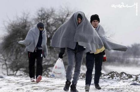  زمستان سخت برای ایران است نه اروپا! +عکس