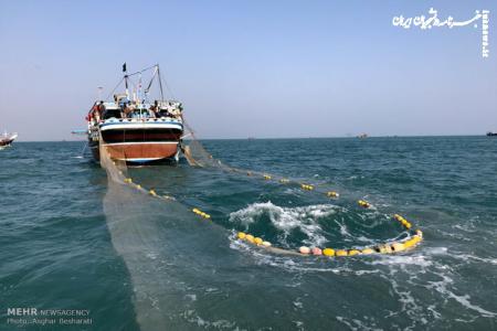 بررسی فعالیت کشتی‌های صید صنعتی در استان بوشهر
