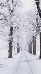 ۲۰ والپیپر خاص زمستانی برای پس زمینه +دانلود