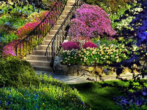 ۱۰ والپیپر دیدنی از طبیعت برای گوشی +دانلود