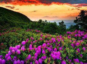 ۱۰ والپیپر دیدنی از طبیعت برای گوشی +دانلود