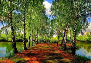 ۱۰ والپیپر دیدنی از طبیعت برای گوشی +دانلود