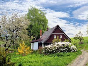 ۱۰ والپیپر دیدنی از طبیعت برای گوشی +دانلود