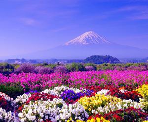 ۱۰ والپیپر دیدنی از طبیعت برای گوشی +دانلود