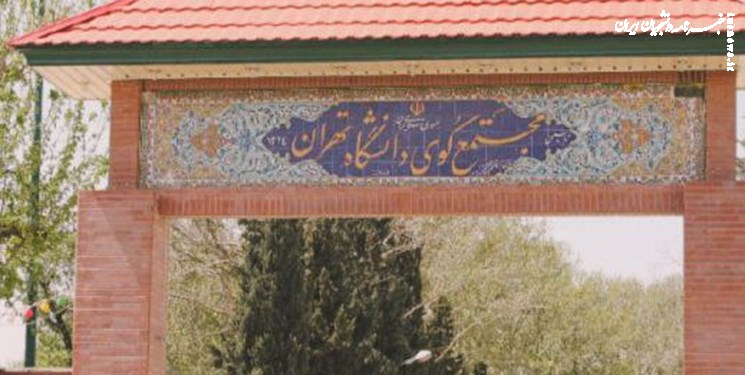 جزئیات ثبت‌نام خوابگاه‌های دانشگاه تهران در نیمسال دوم