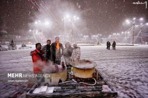 عکس| شبِ برفی